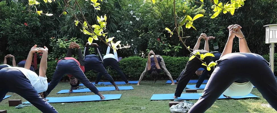 200 Hrs Yoga Teacher Training Course in Rishikesh By Yoga Essence Rishikesh4.webp