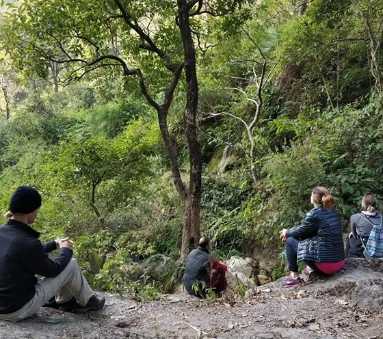 200 Hrs Yoga Teacher Training Course in Rishikesh By Yoga Essence Rishikesh5.webp