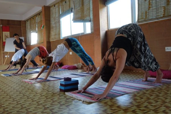 200 Hrs Yoga Teacher Training Course in Rishikesh By Vedic Yoga Academy7.webp