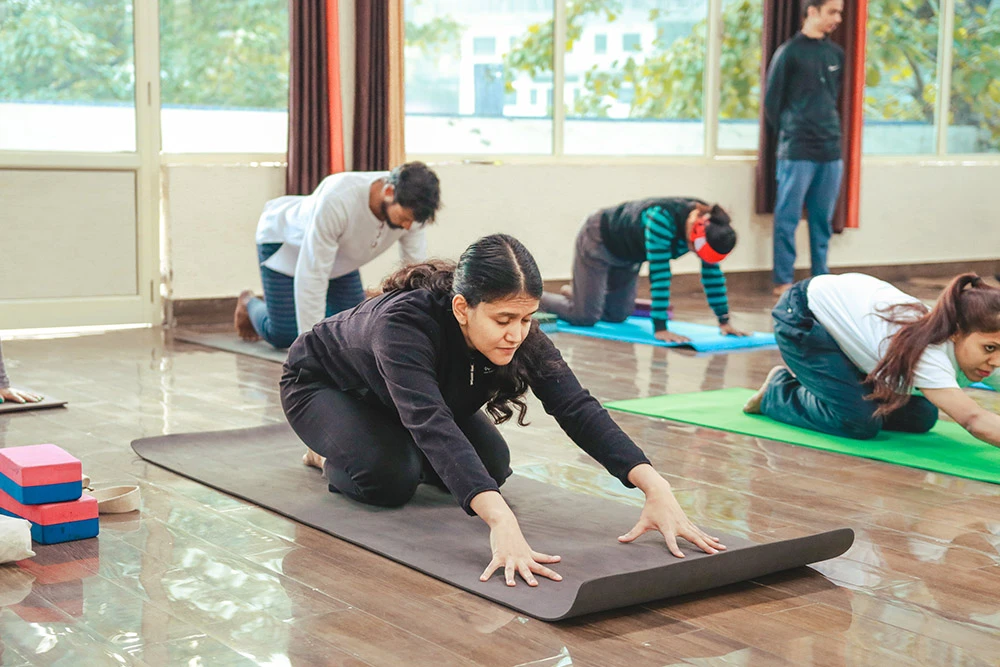 300 Hrs Yoga Teacher Training Course in Rishikesh By Vinyasa Yoga School1.webp