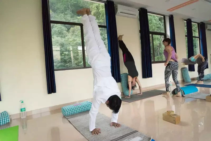 300 Hrs Yoga Teacher Training Course in Rishikesh By Samatva Yogalaya Rishikesh11.webp