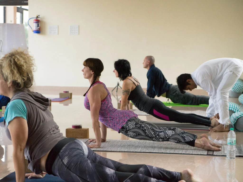 300 Hrs Yoga Teacher Training Course in Rishikesh By Samatva Yogalaya Rishikesh17.webp