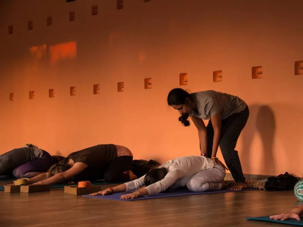 300 Hrs Yoga Teacher Training Course in Rishikesh By Samatva Yogalaya Rishikesh19.webp