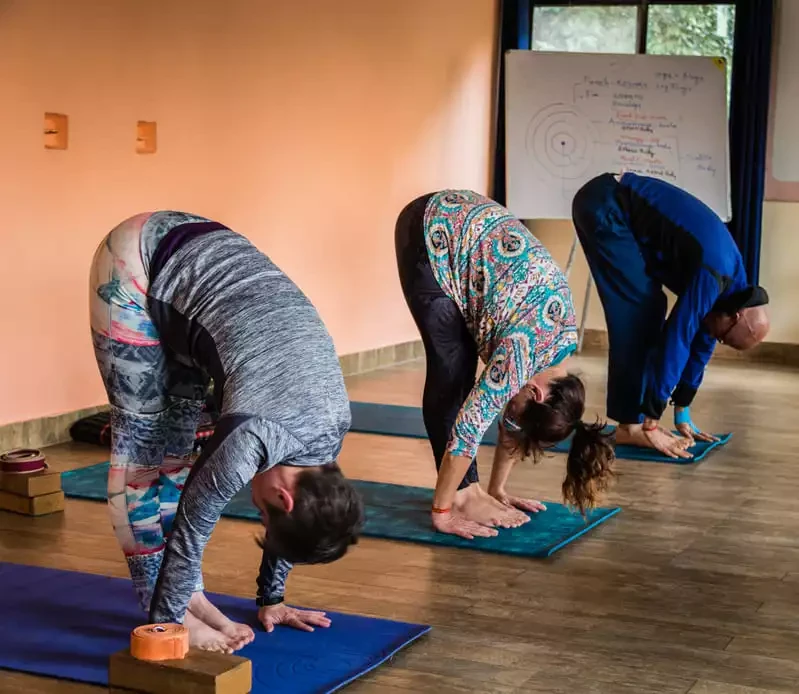 300 Hrs Yoga Teacher Training Course in Rishikesh By Samatva Yogalaya Rishikesh9.webp