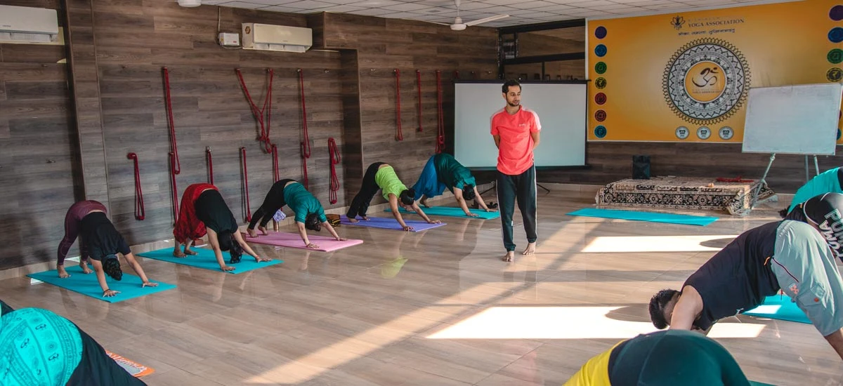 300 Hrs Yoga Teacher Training Course in Rishikesh By Rishikesh Yoga Association1.webp