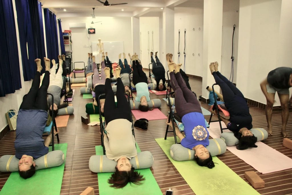 300 Hrs Yoga Teacher Training Course  in Rishikesh By Om Yoga Academy6.webp