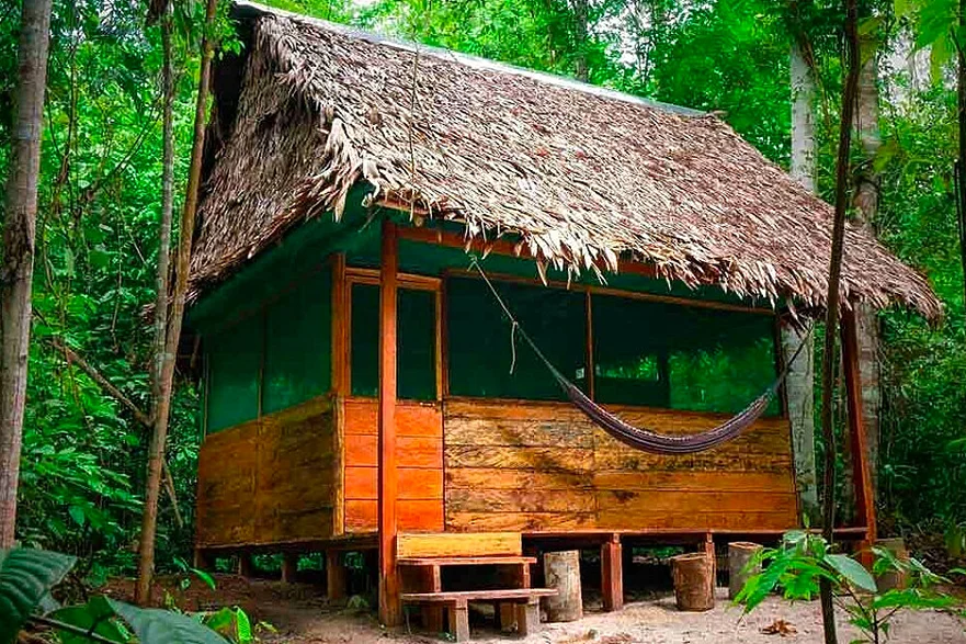 7 day ayahuasca, meditation, yoga retreat in the amazon rainforest iquitos in peru111705474569.webp