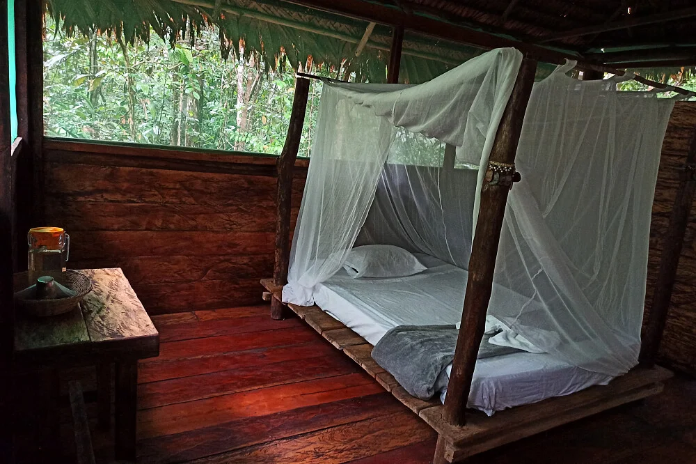 7 day ayahuasca, meditation, yoga retreat in the amazon rainforest iquitos in peru31705474557.webp