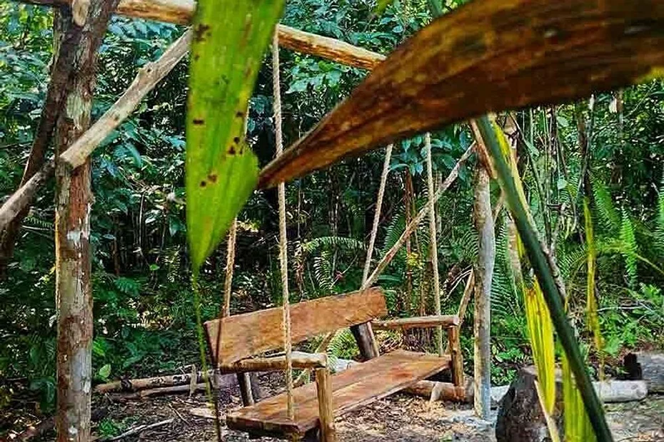 7 day ayahuasca, meditation, yoga retreat in the amazon rainforest iquitos in peru51705474559.webp