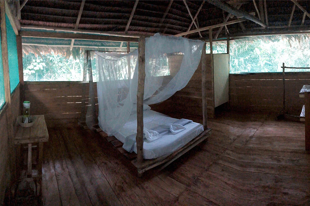 7 day yoga, meditation & shamanic retreat in iquitos, peru41705475235.webp