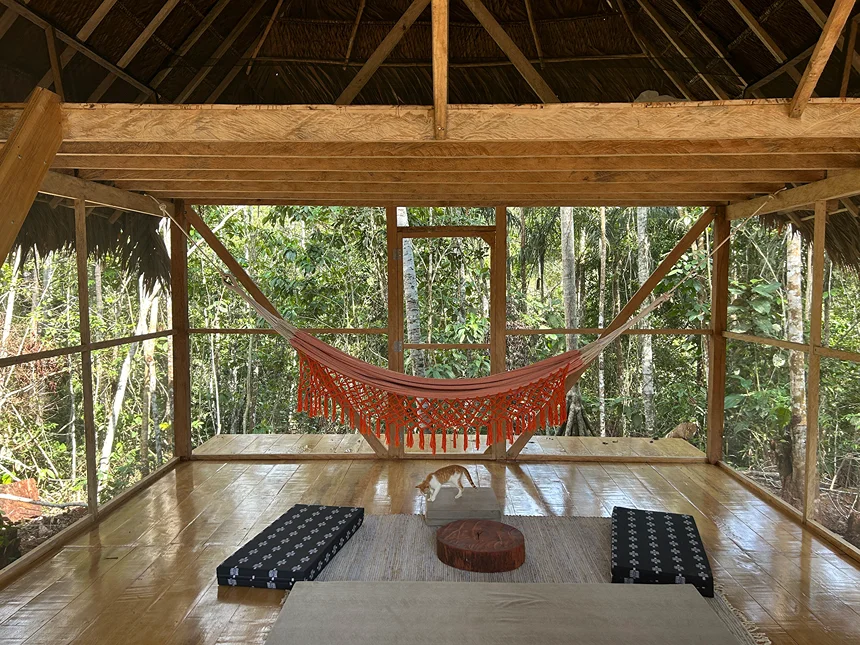 10 day xmas ayahuasca and san pedro retreat in peru201705574938.webp