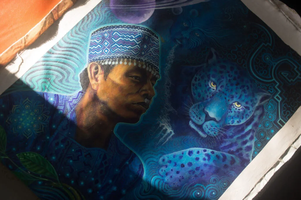 10 day xmas ayahuasca and san pedro retreat in peru221705574938.webp