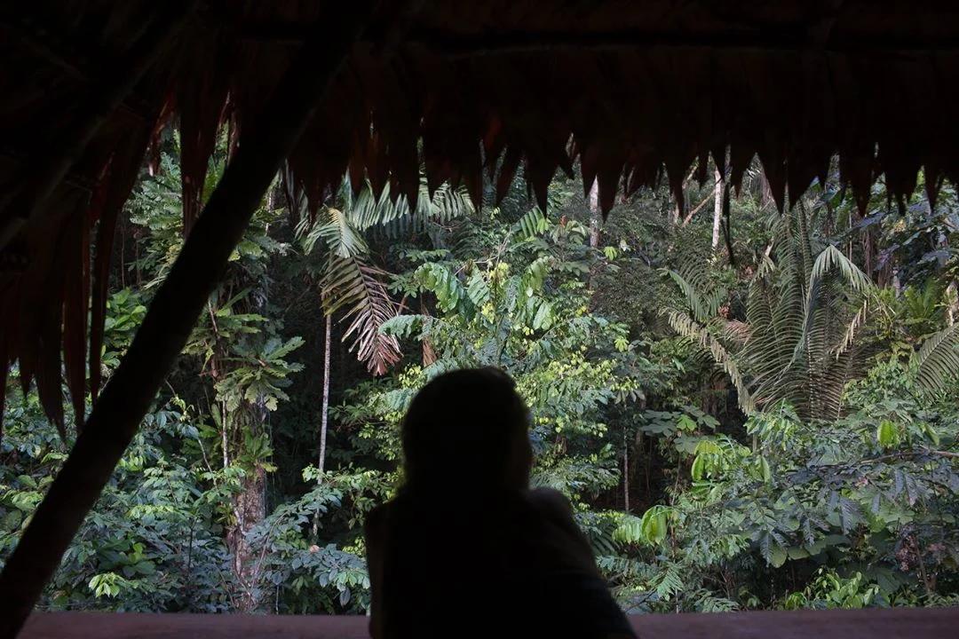 10 day xmas ayahuasca and san pedro retreat in peru231705574939.webp