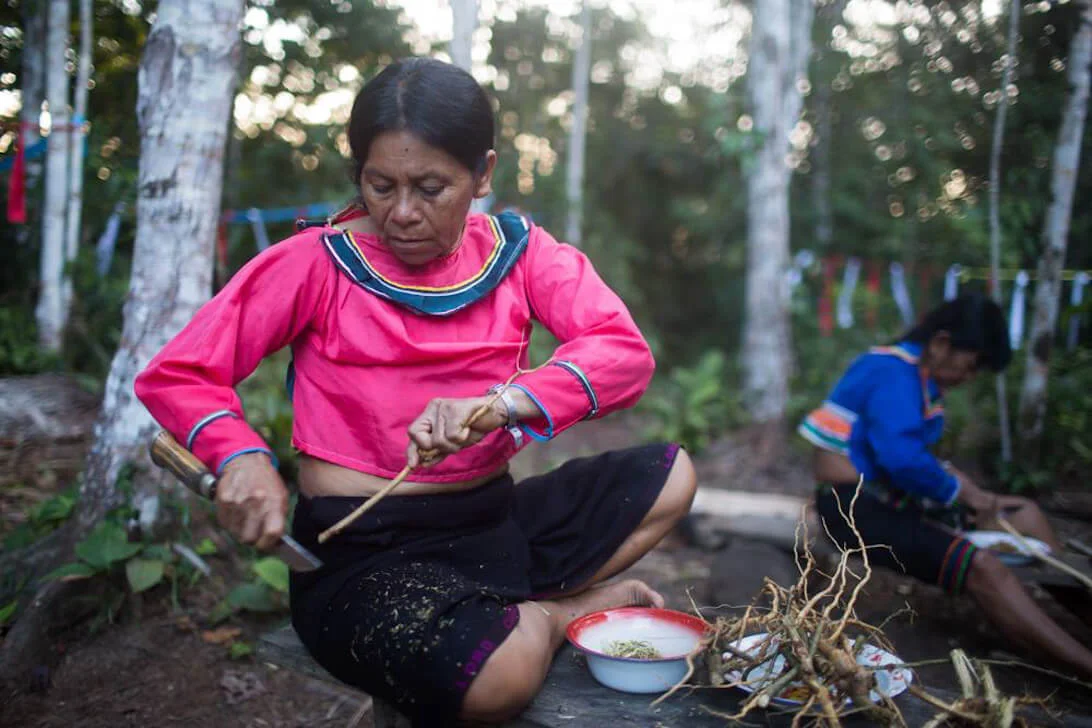 10 day xmas ayahuasca and san pedro retreat in peru31705574928.webp
