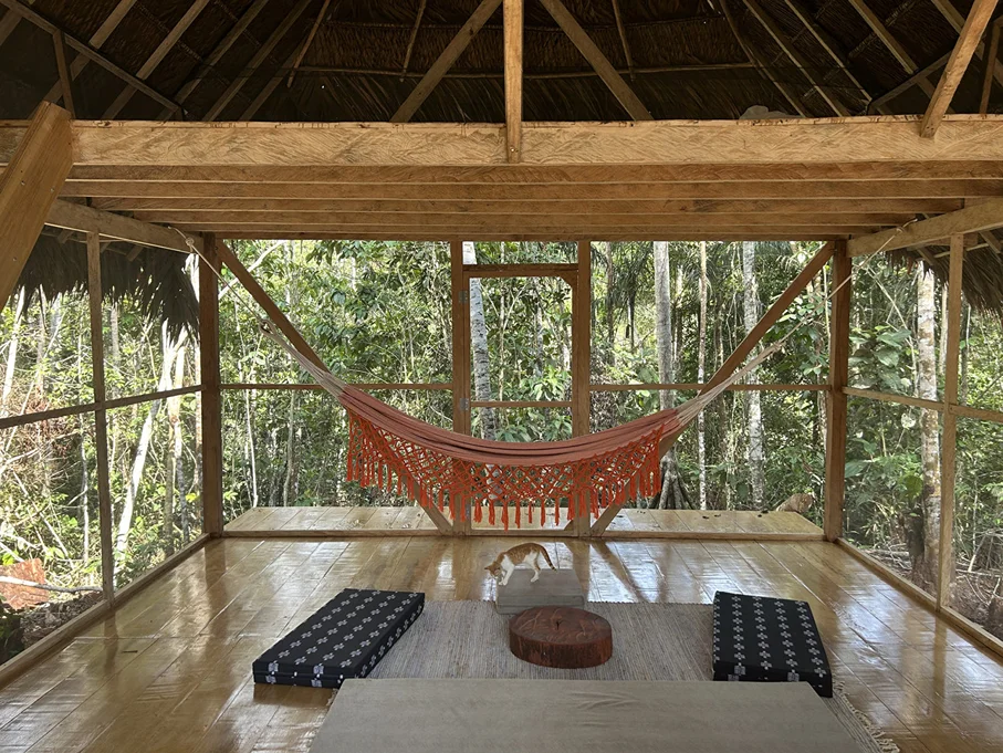 10 day xmas ayahuasca and san pedro retreat in peru71705574930.webp