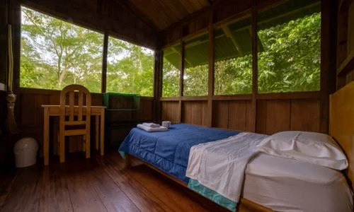 8 day ayahuasca yoga retreat in peru11705654351.webp