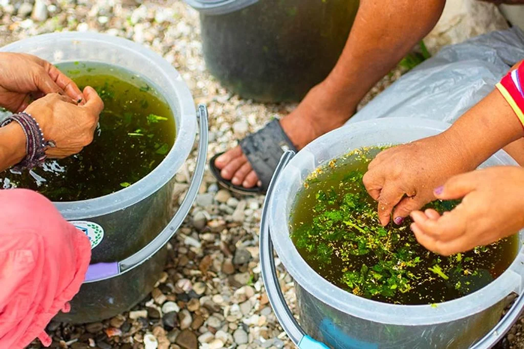 8 day ayahuasca yoga retreat in peru161705654354.webp