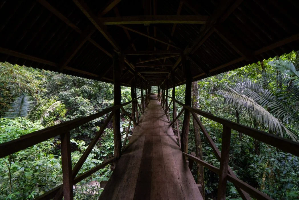 8 day ayahuasca yoga retreat in peru191705654355.webp