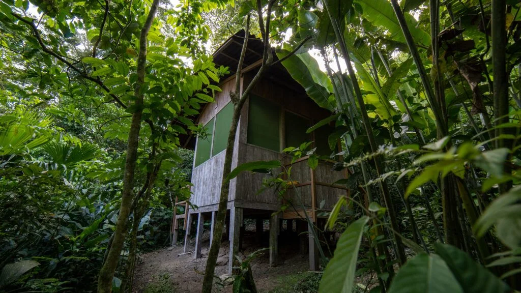 8 day ayahuasca yoga retreat in peru61705654352.webp