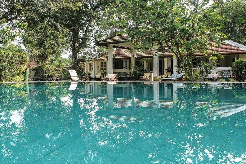 10 Day Weight Loss & Yoga Retreat in Nature, Sri Lanka1.webp