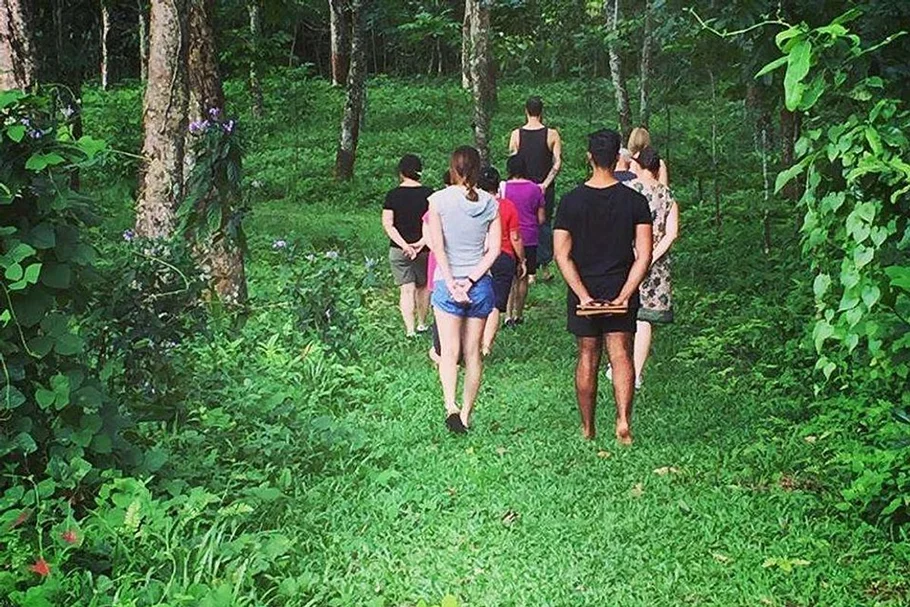 10 Day Weight Loss & Yoga Retreat in Nature, Sri Lanka13.webp