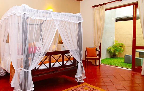 11 Day Beginner Ayurveda Course at Velmarie Ayurveda Training School in Beruwala, Western Province15.webp