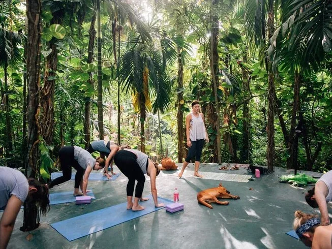11 Day Surf and Yoga Holiday in Arugam Bay10.webp
