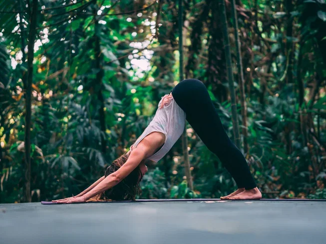 11 Day Surf and Yoga Holiday in Arugam Bay14.webp