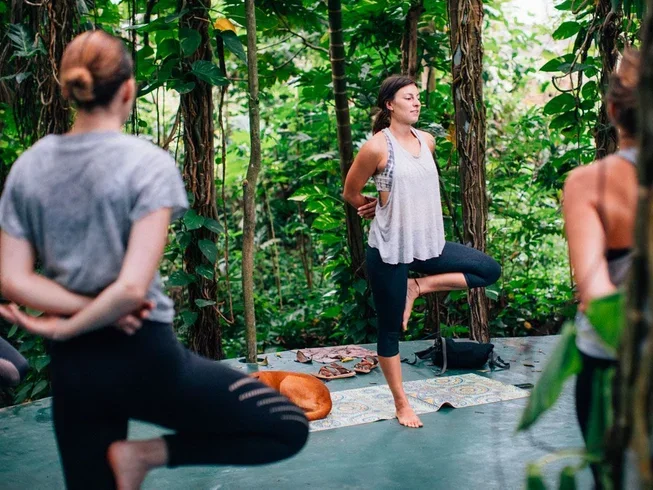 11 Day Surf and Yoga Holiday in Arugam Bay7.webp