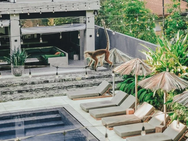 11 Day Surf, Meditation, and Yoga Holiday in Hiriketiya, Matara14.webp