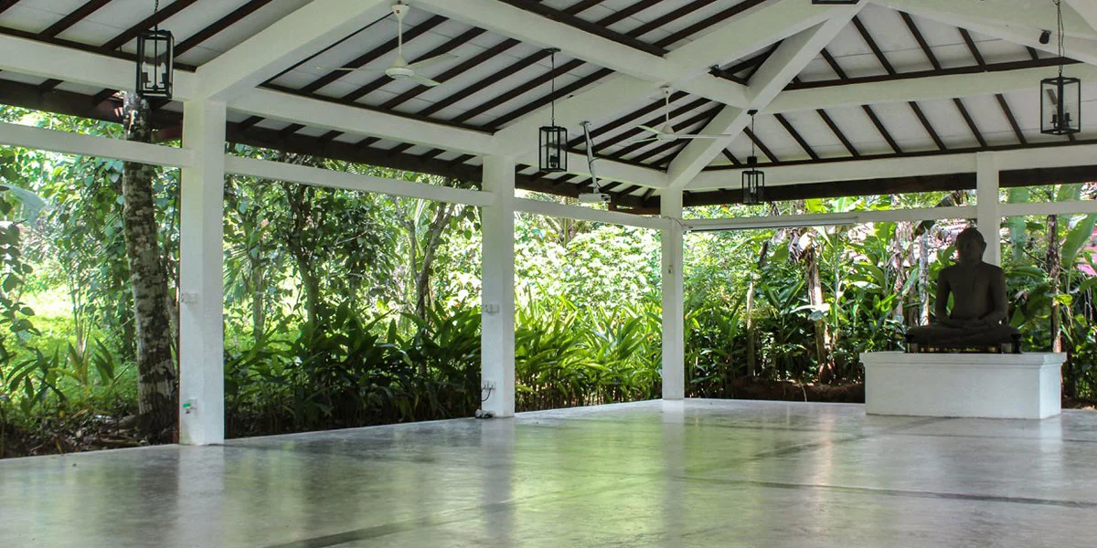 14 Day Ayurveda Healing Retreat in Sri Lanka13.webp