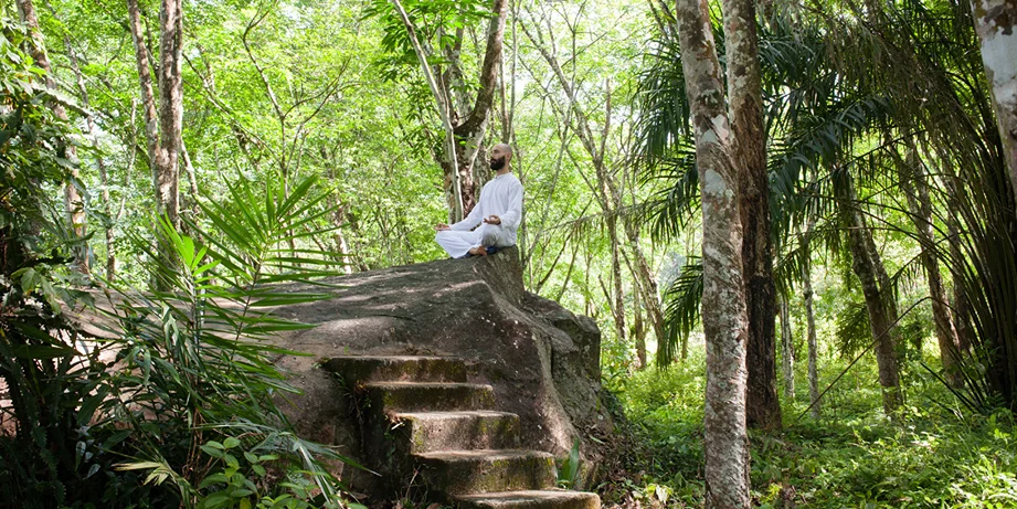14 Day Ayurveda Healing Retreat in Sri Lanka15.webp