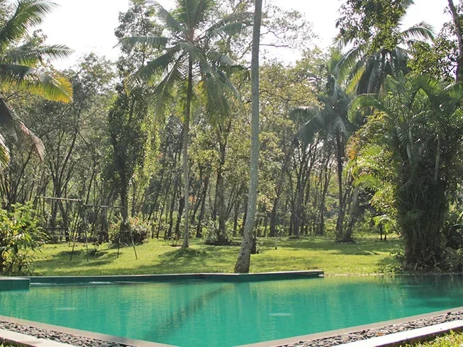 14 Day Ayurveda Healing Retreat in Sri Lanka19.webp