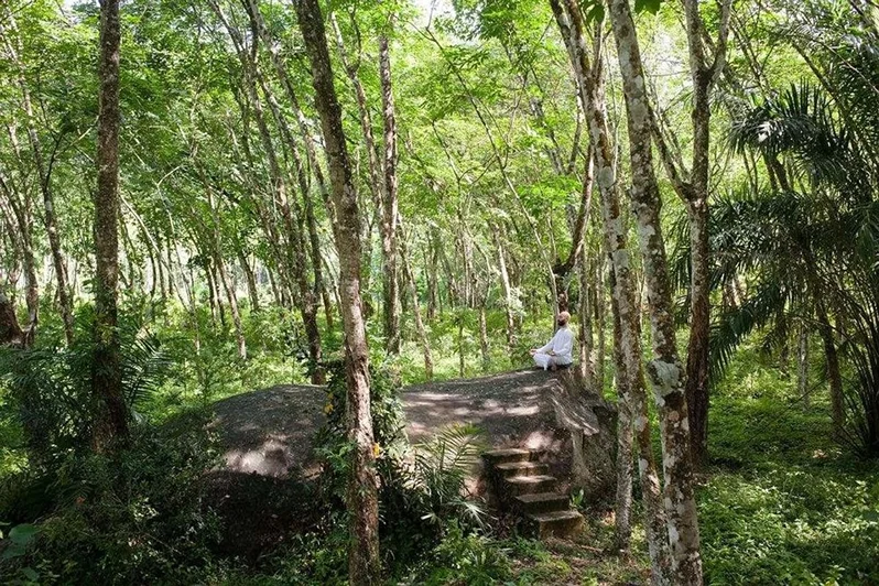 14 Day Ayurveda Healing Retreat in Sri Lanka24.webp
