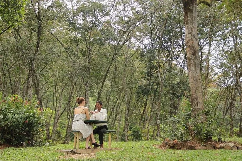 14 Day Ayurveda Healing Retreat in Sri Lanka25.webp