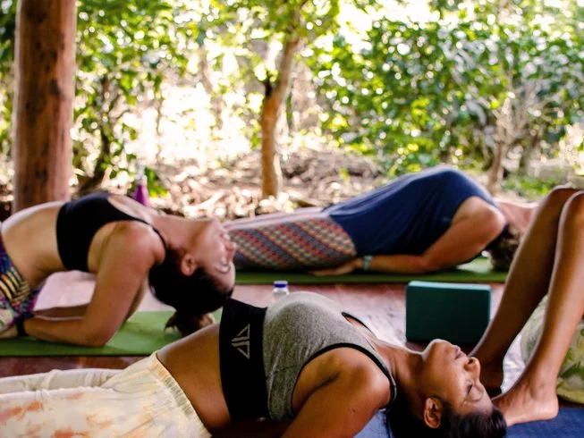 14 Day Ayurveda Panchakarma Cleaning Cure in Sri Lanka4.webp