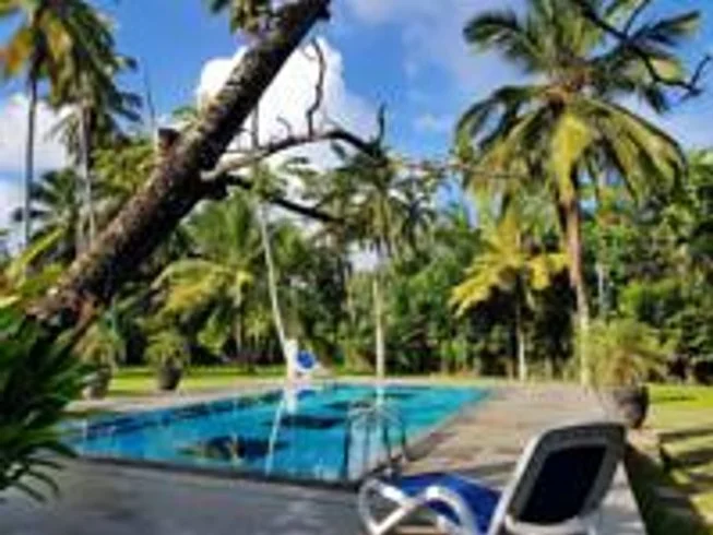 14 Day Detox Through Yoga and Ayurveda in Kalutara District, Western Province8.webp