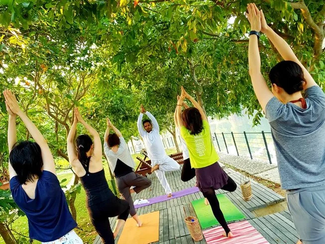 15 Day Ayurveda Retreat at Karunakarala in Negombo1.webp