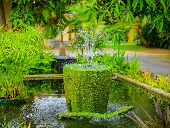 15 Day Ayurveda Retreat at Karunakarala in Negombo23.webp