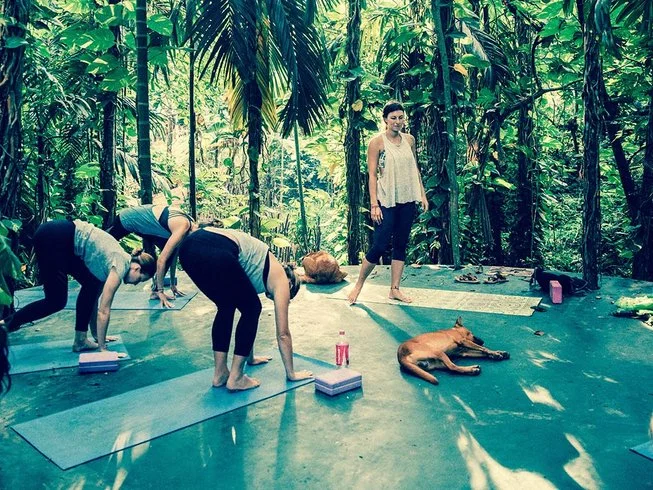 15 Day Balance Package with Yoga and Surf Lesson in Mirissa, Southern Province22.webp