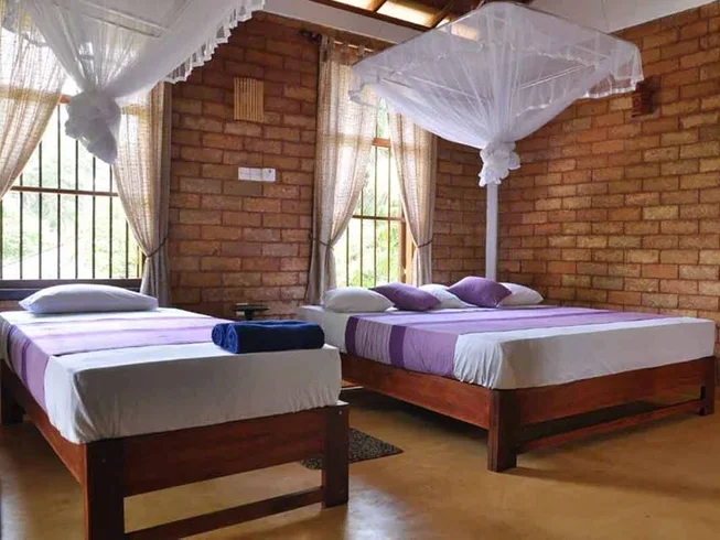 15 Day Yoga and Surf Camp in Mirissa, Southern Province5.webp