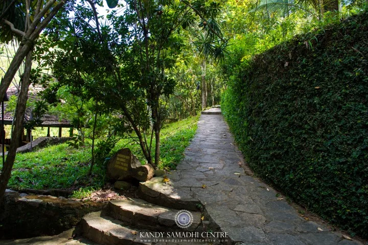 3 Day Ayurveda and Yoga Retreat in Kandy, Central Province18.webp