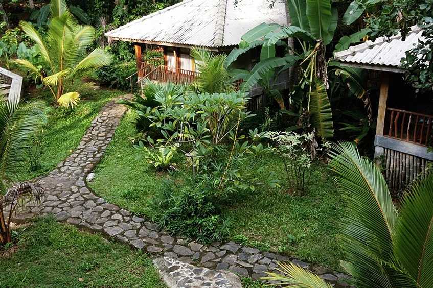 5 Day Surf, Movement & Yoga Retreat in Magical Sri Lanka6.webp