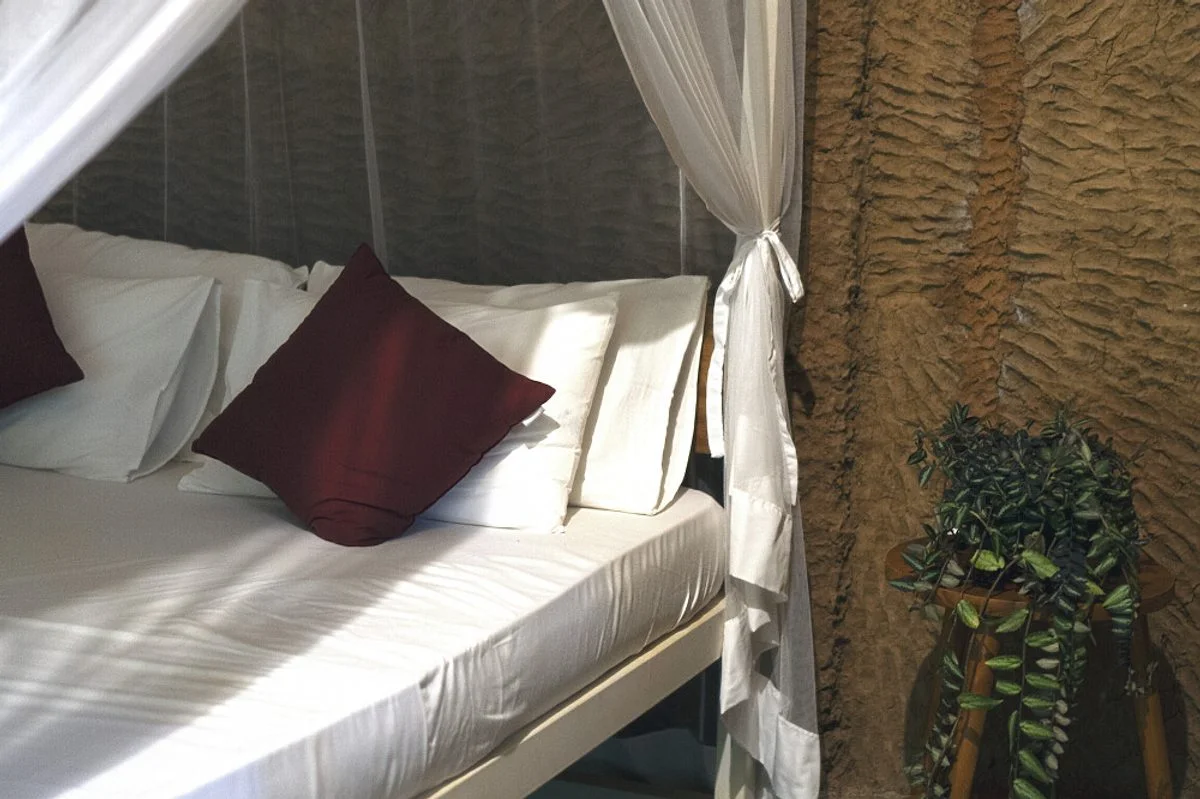 5 Day Surf, Movement & Yoga Retreat in Magical Sri Lanka9.webp