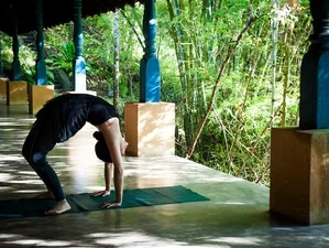 6 Day Yoga Retreat in Kandy, Central Province1.webp