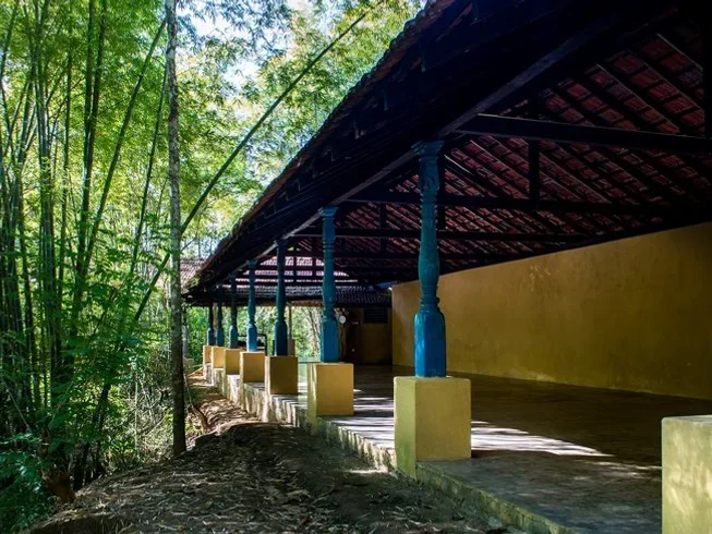 6 Day Yoga Retreat in Kandy, Central Province11.webp