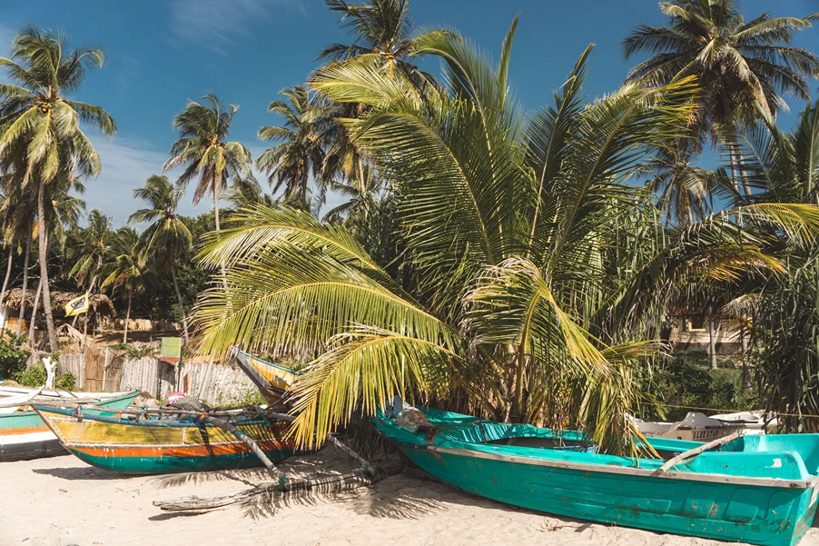 6 Day Yoga and Surf in the Unique and Natural Surfing Points of Arugam Bay, Eastern Province13.webp