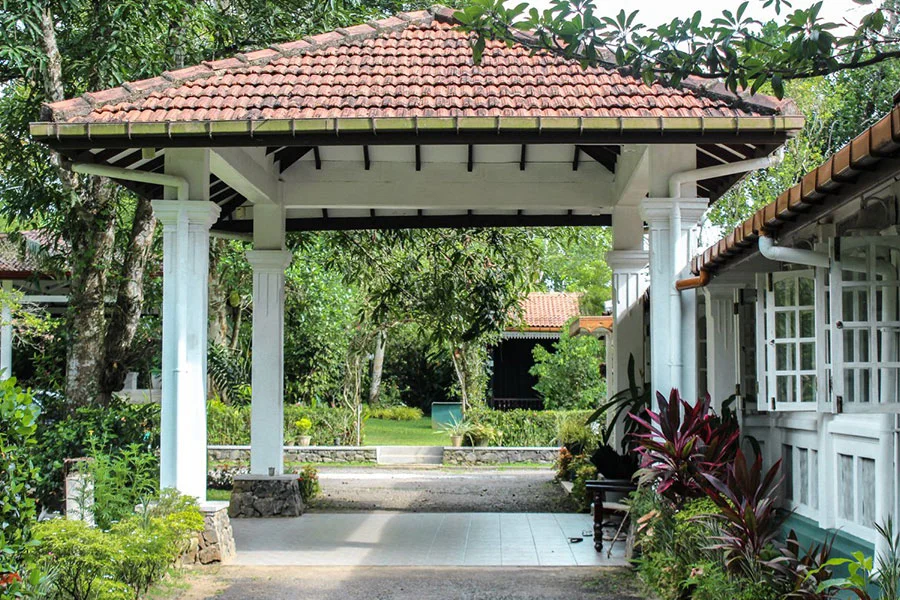7 Day Detox & Recharge Retreat in Nature, Sri Lanka18.webp