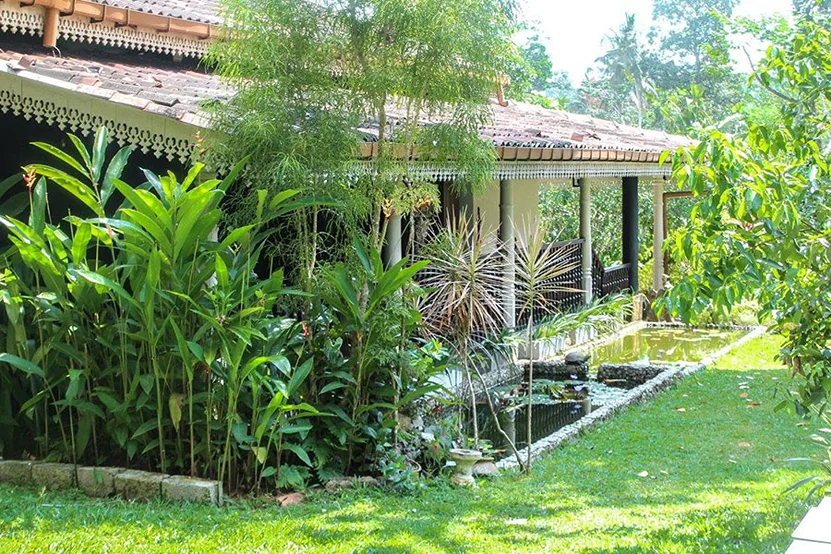 7 Day Detox & Recharge Retreat in Nature, Sri Lanka6.webp