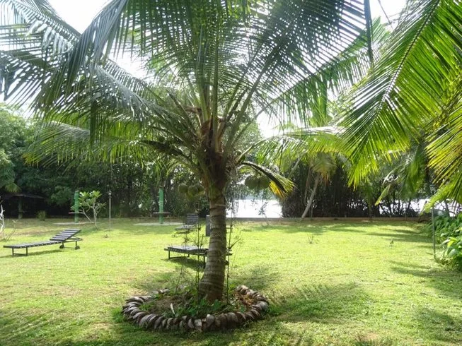 7 Days of Excursion and Yoga Retreat in Bentota1.webp